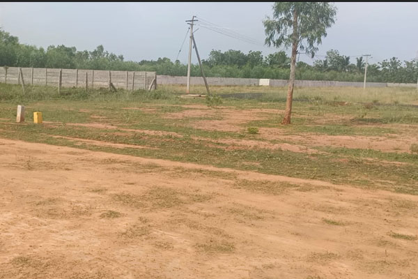 Plots for sale - Near Nanjikottai Bypass Road, Thanjavur
