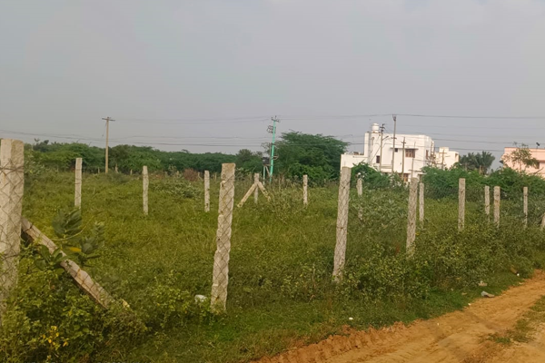 Natarajan City, Near Pillaryarpatti Roundana @ Thanjavur
