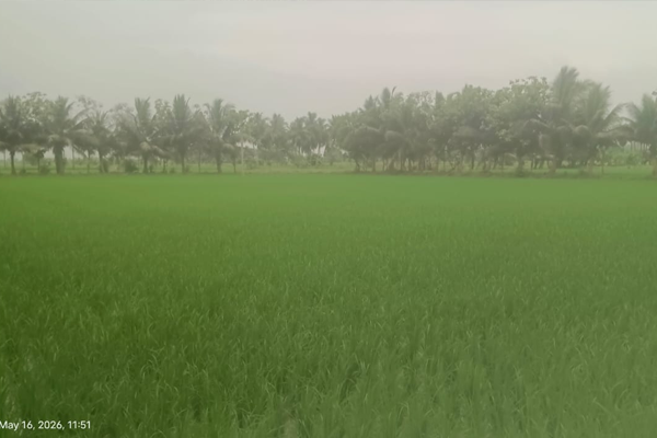 8 Acres Farm Land for Sale @Sadaiyarkovil