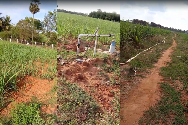 7.5 Acres Agriculture Land for Sale