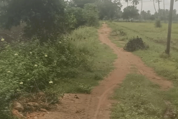 Land for Sale @ Layout Purpose - Near Kings Engg. College