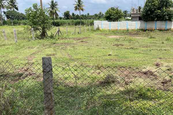 Thanjavur - Pudukkottai - Roadside land.